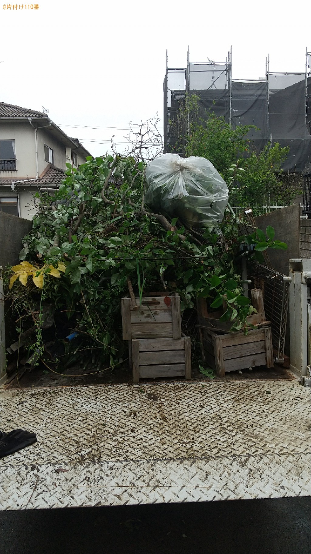 【福山市】カラーボックス、木箱、剪定後の枝木、植木鉢等の回収