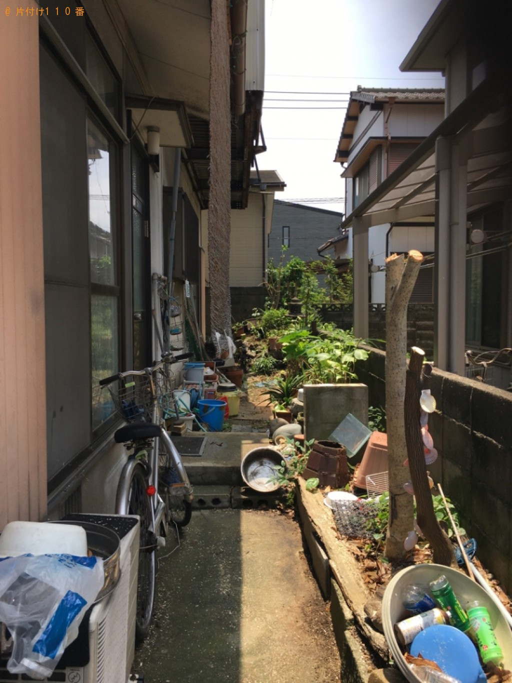 木の剪定作業ご依頼　お客様の声