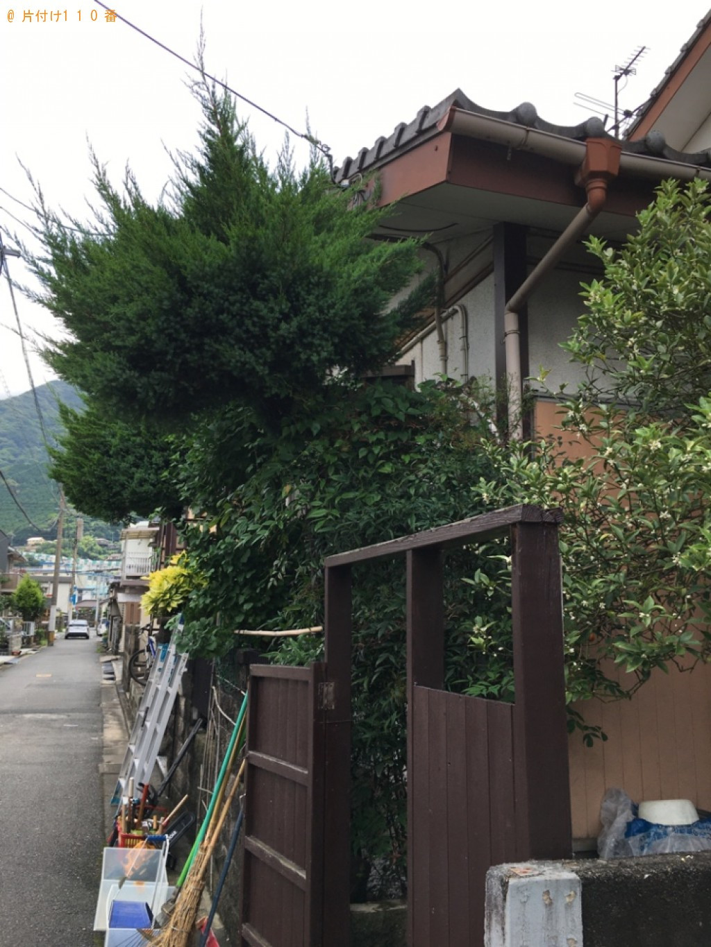 木の剪定作業ご依頼　お客様の声