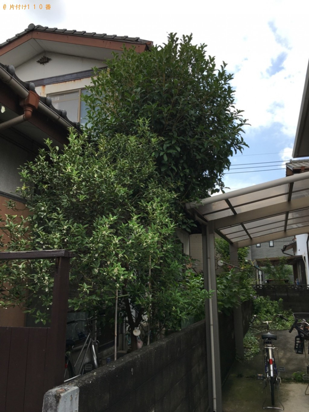 木の剪定作業ご依頼　お客様の声