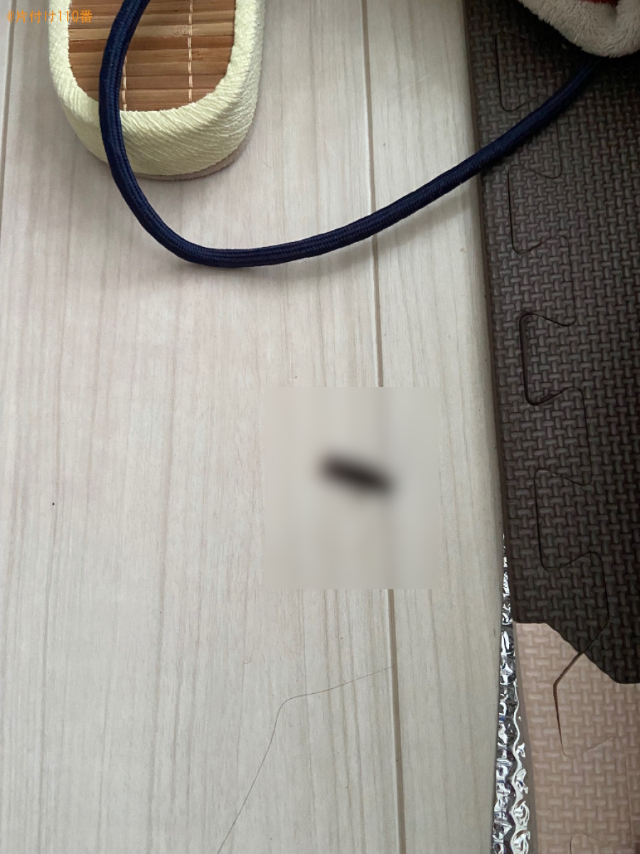ゴキブリ駆除ご依頼　お客様の声